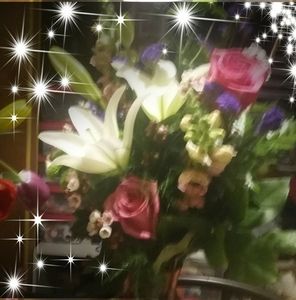 Meet your Posher, Bonnie